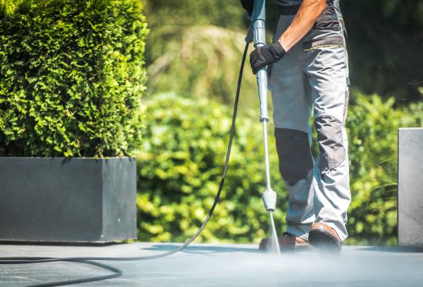 Best Driveway Pressure Washing  in Scottsville, NY